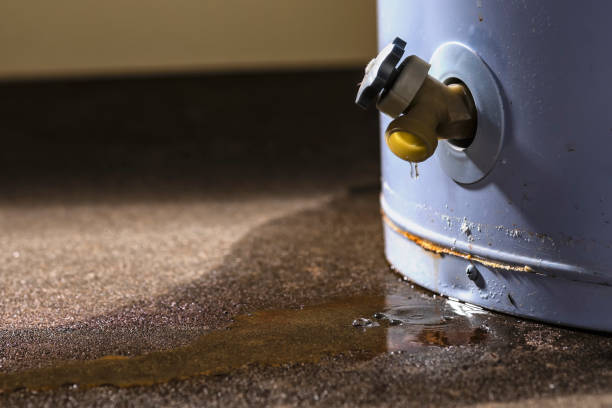 Best 24/7 water damage repair  in Ronan, MT