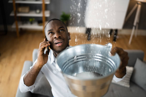 Best Local water damage restoration  in Ronan, MT