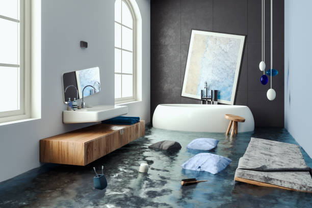 Best Water damage restoration near me  in Ronan, MT