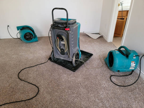  Ronan, MT Water damage restoration Pros