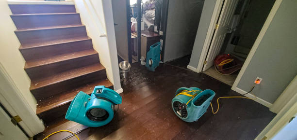 Best Commercial water damage restoration  in Ronan, MT
