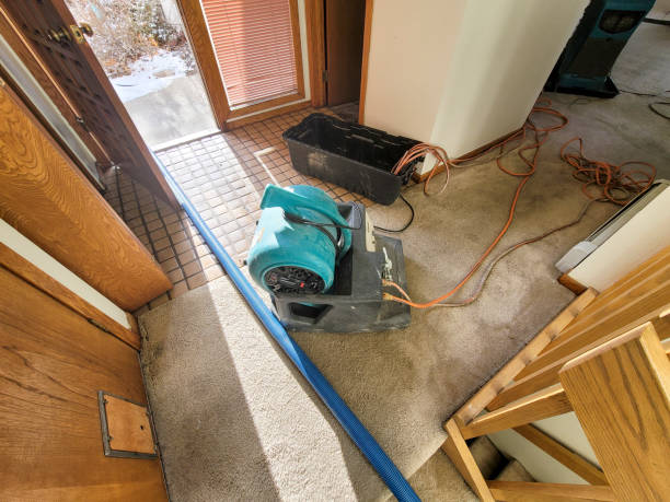 Best Mold removal after water damage  in Ronan, MT
