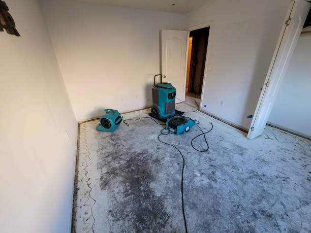 Best Carpet water damage restoration  in Ronan, MT