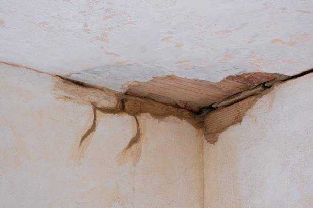 Best Flood restoration services  in Ronan, MT
