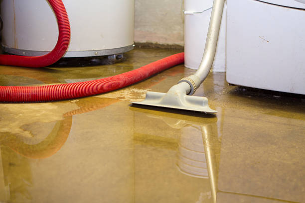 Best Flooded house restoration  in Ronan, MT