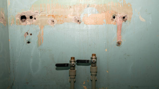 Ronan, MT Water damage restoration Company