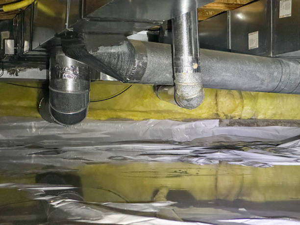 Best Mold removal after water damage  in Ronan, MT