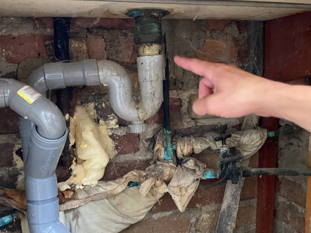 Best Fire Damage Restoration  in Ronan, MT