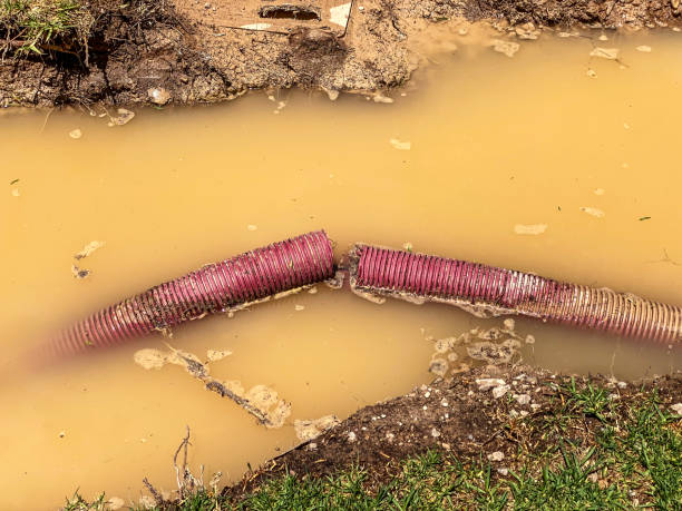 Best Water damage contractors near me  in Ronan, MT