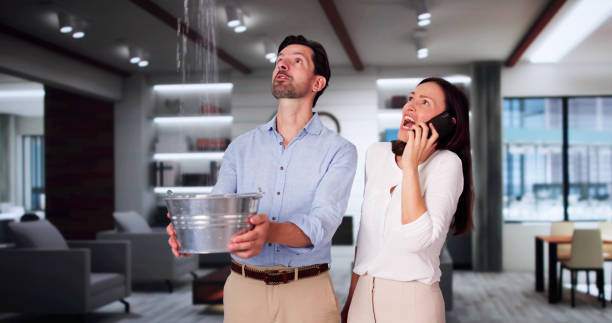 Best Water damage restoration near me  in Ronan, MT