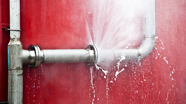 Best Flood restoration services  in Ronan, MT